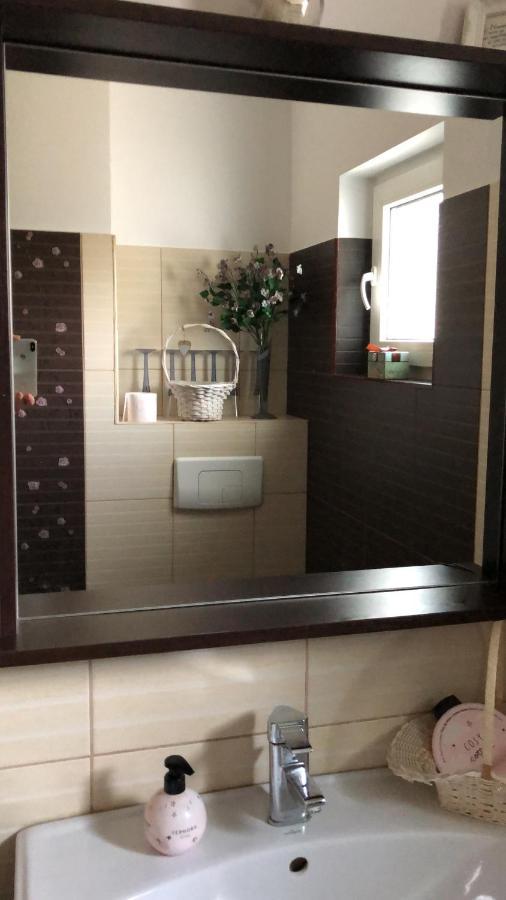 Apartament Cu 3 Camere La Poala Muntilor Fagaras Виктория Екстериор снимка