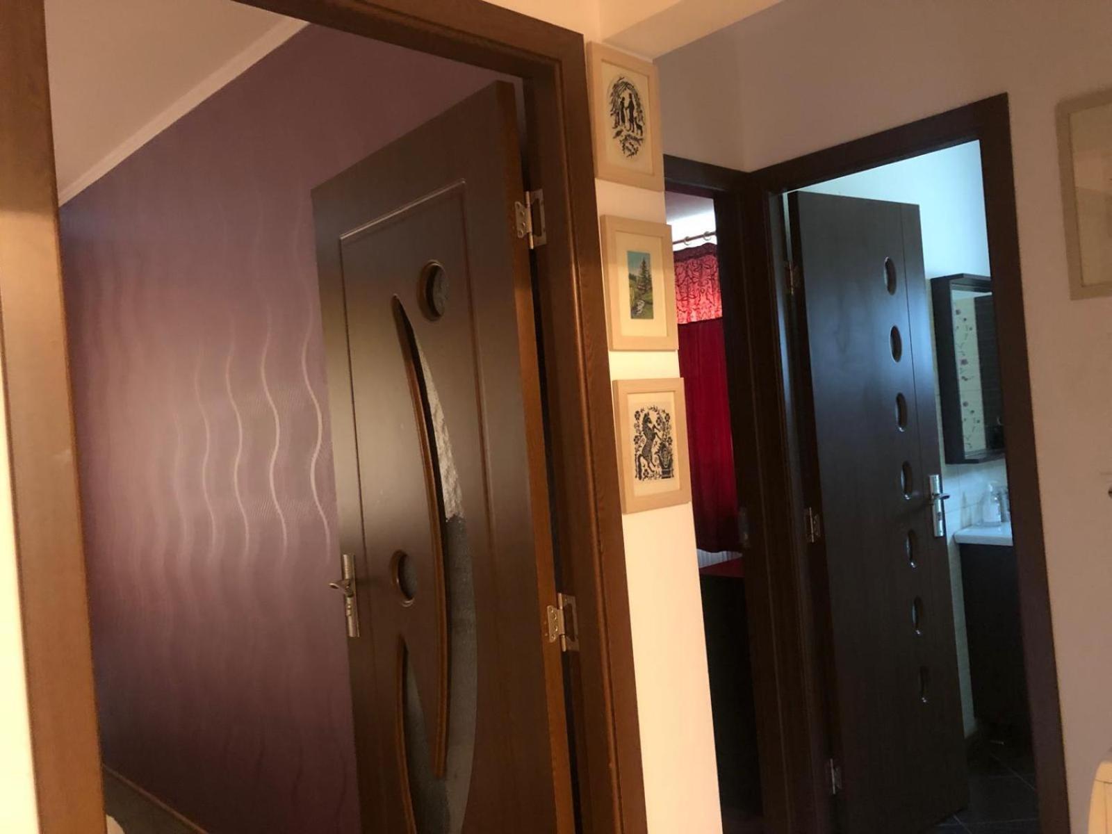 Apartament Cu 3 Camere La Poala Muntilor Fagaras Виктория Екстериор снимка